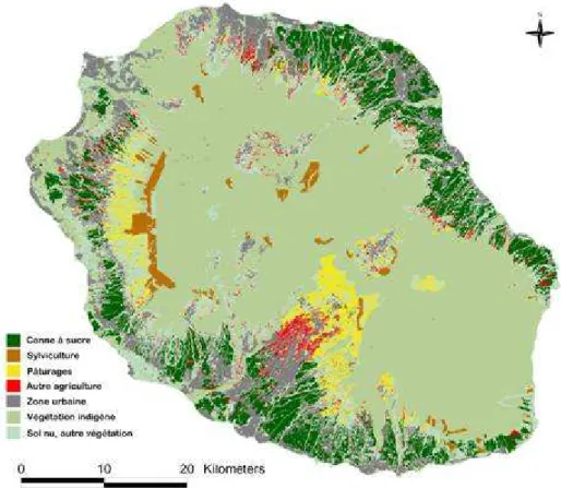 Figure  1.10.  La  Réunion  vue  du  ciel.  Répartition  des  surfaces  agricol es.  Les  zones   fruitières  et maraîch ères  sensibles  aux attaqu es de Tephritidae sont intég rées  dans l a  catégori e  «  Autre  végétation » 