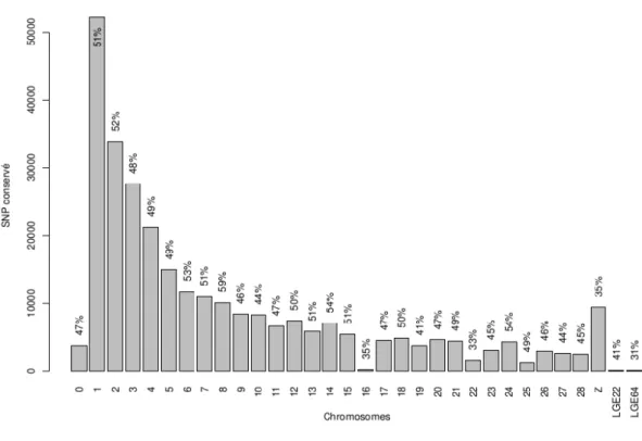 Figure 4 : Pourcentage de SNP conservés sur chacun des chromosomes et sur les deux groupes de liaison après filtration 