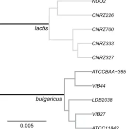 Figure 1.  Core genome based phylogeny of L. delbrueckii strains. Branch length represents the expected  number of substitutions per base.