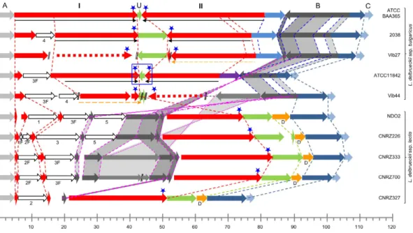 Table 2.   Details of the replication terminus region in L. delbrueckii genomes.  * Estimated size including the  unassembled repeat of the IR.