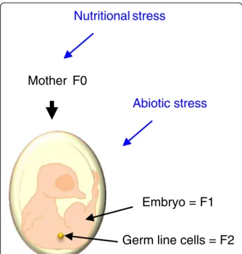Figure 3 The maternal environment may impact F1 and F2 individuals. In birds, the maternal environment has an impact on individuals of the F1 generation through the egg content