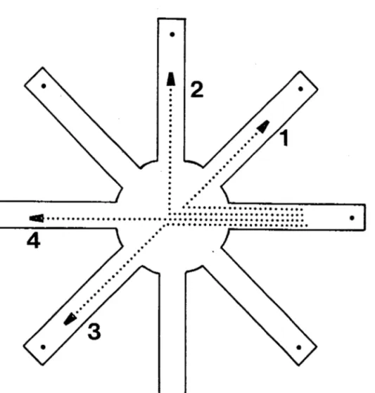 Figure 5. Labyrinthe radial de Olton