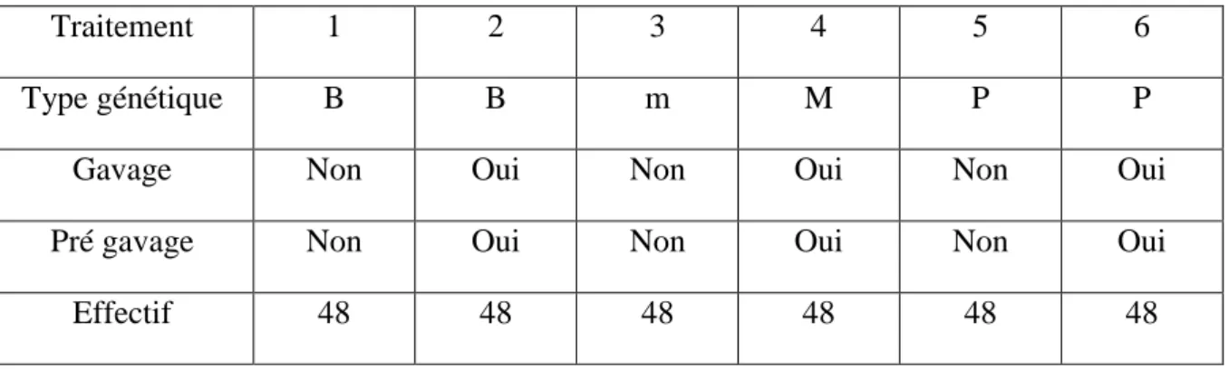 Tableau 5. Effectifs et modalités. Expérimentation DuckPhy (B : Barbarie ; m : mulard ;  P : Pékin) 