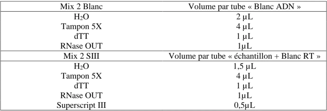 Tableau 8. Composition des mix en vue de la rétro-transcription 