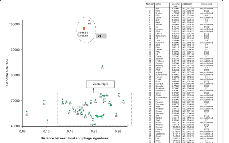 Figure 4 Distribution of the genomic signature distances of M. smegmatis phages as a function of size of phage genomes[103,104].