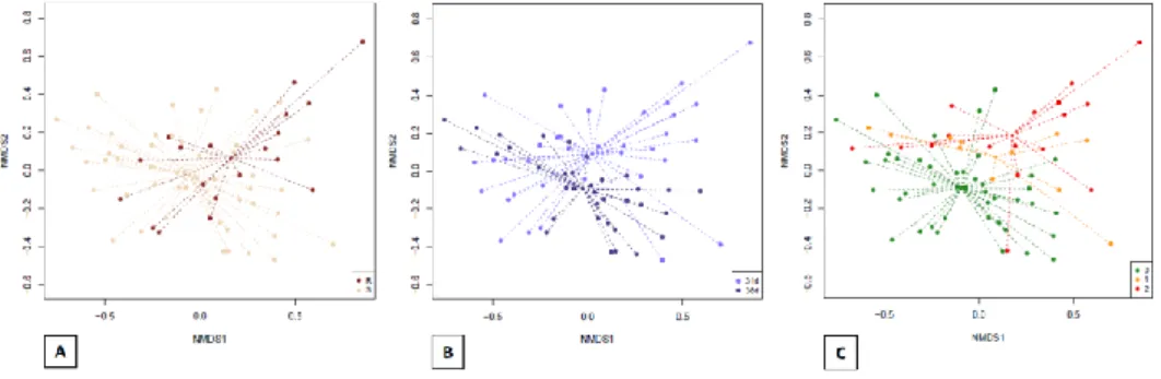 Figure  1:  Plots  include  only  the  samples  obtained  from  T0.  Dissimilarities  in  gut  microbiota composition represented by the non-metric multidimensional scaling (NMDS)  ordination  plot,  with  Bray-Curtis  dissimilarity  index  calculated  on 