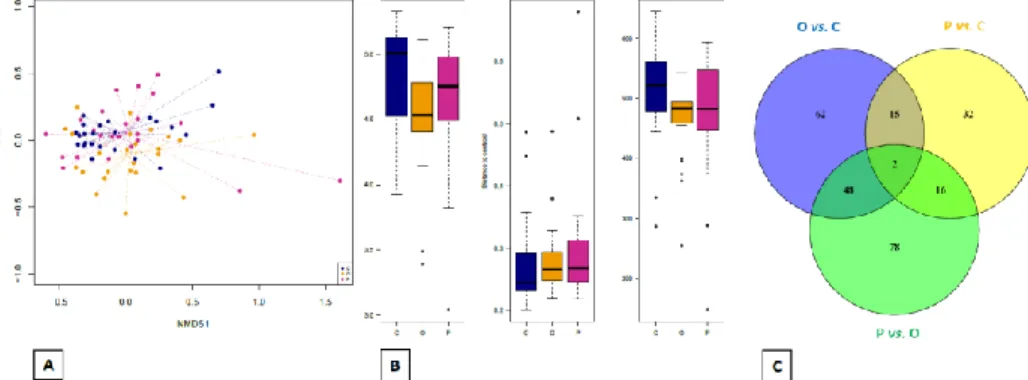Figure 3: Abundances of Lactobacillus spp. at T1 (A) and T2 (B) among the experimental  groups