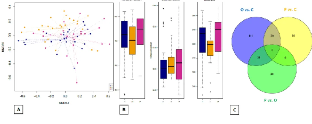Figure  4:  Plots  include  only  the  samples  obtained  from T2.  (A)  Dissimilarities  in  gut  microbiota composition represented by the non-metric multidimensional scaling (NMDS)  ordination  plot,  with  Bray-Curtis  dissimilarity  index  calculated 