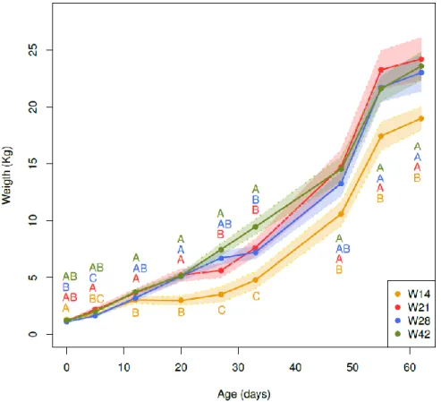 Figure  1:  Growth  curves  for  piglets  weaned  at  14  days  of  age  (W14),  21  days  of  age  (W21), 28 days of age (W28), and 42 days of age (W42)