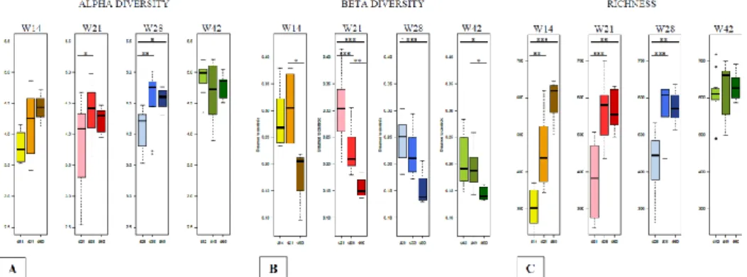 Figure 3: Boxplots for alpha diversity (A), beta diversity (B) and richness (C) for each  sampling time point in animals weaned groups at 14 days of age (W14), 21 days of age  (W21),  28  days  of  age  (W28)  and  42  days  of  age  (W42)