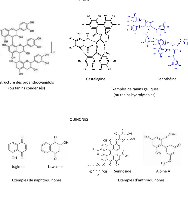Figure 4 B : Exemples de structures de composés phénoliques : tanins et quinones  TANINS 