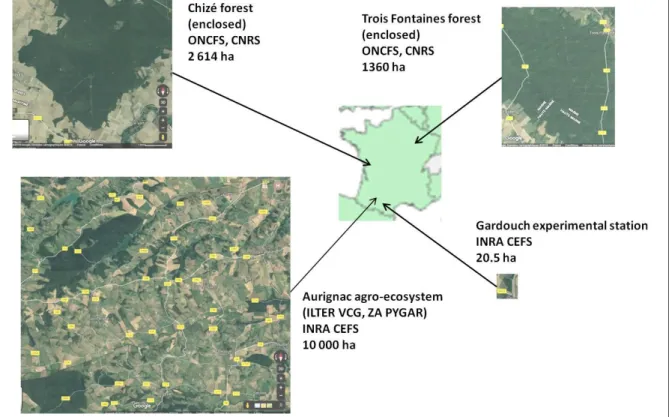 Figure 12 - Location and scaled representation of the four populations studied throughout  this thesis