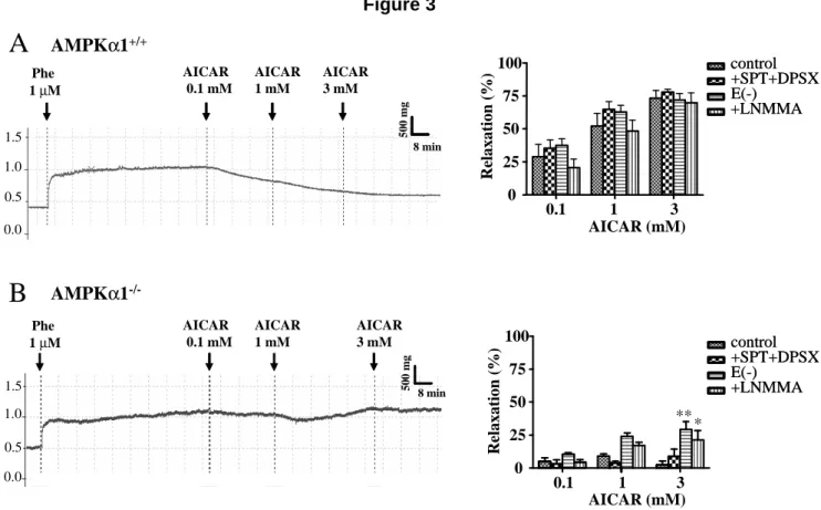 Figure 3 500 mg 8 min 0.51.5 Phe1 µ M AICAR 0.1 mM AICAR1 mM AICAR3 mM 8 min 0.51.5 500 mgPhe1 µMAICAR0.1 mMAICAR1 mMAICAR3 mMAMPKα1+/+AMPKα1 -/-** * 0.1 1 30255075100 control +SPT+DPSXE(-)+LNMMAcontrol+SPT+DPSXE(-)+LNMMA AICAR (mM)Relaxation (%)0.11302550