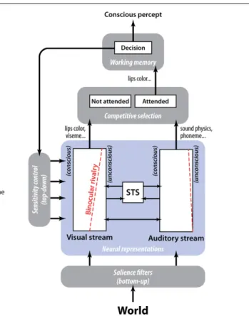 FIGURE 5 | A three-level descriptive framework based on existing models. (I) Hierarchical view of binocular rivalry in which mutual inhibition and adaptation of the neural populations coding each perceptual state governs the competition