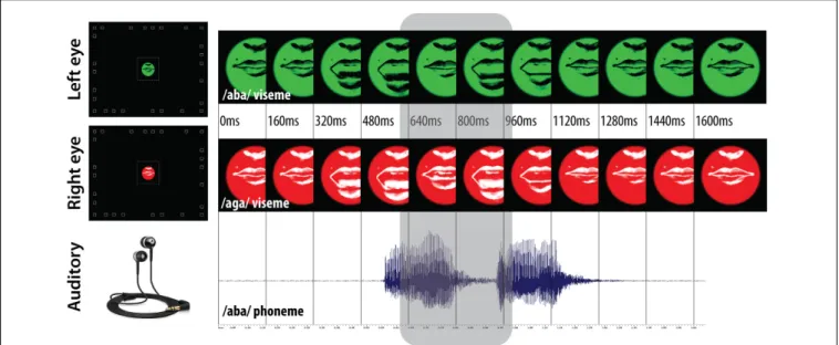 FIGURE 1 | Audiovisual stimulations. A pair of video sequences or static snapshots were displayed to the left and right eye using the NVisor SX dual-channel head mounted display, and sound was played using the Sennheiser CX300-II ear canal phones