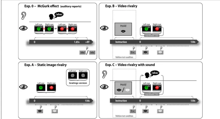 FIGURE 2 | Trial timelines of the experiments. In the preliminary experiment, subjects viewed single sequences of videos (no rivalry here) synchronized with the /aba/ voice and then selected the auditory percept (either /aba/ or /ada/)