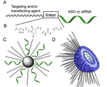 Figure 3: Strategies for the delivery of ASO and/or siRNA. Adapted  from Järver et al