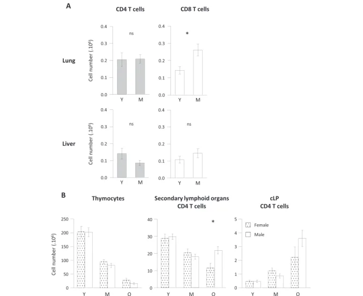 Figure 6 No T cell lymphopenia in lungs and liver during ageing and no impact of sex on GALT CD4 T cell accumulation