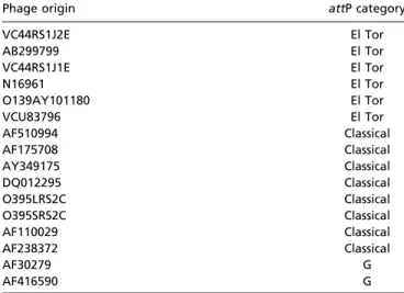 Table S4. The category of the attP attachment region of various CTX ϕ variants