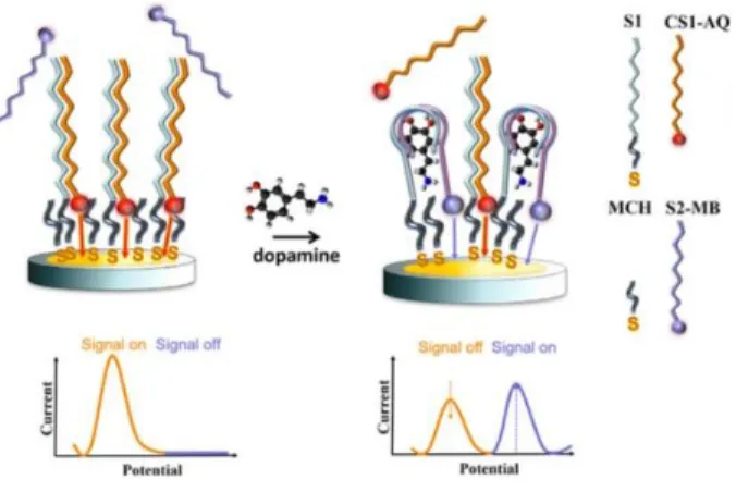 Fig. 10. Example of a split aptasensor before and after the addition of dopamine. 88   
