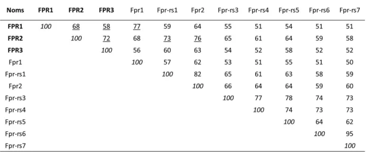 Tableau 2 : Pourcentage d’identité en acides aminés des différents récepteurs FPR humains (FPR) et  murins (Fpr)