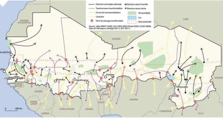 Figure 1: Synthèse des mouvements de bétail en zone sahélienne. (Source : Diop et al. 2012) 