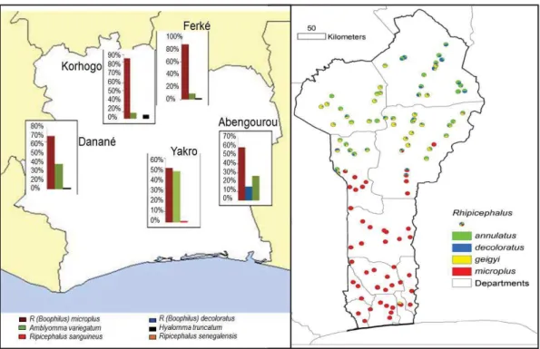Figure 4:  Distributions relatives des différentes espèces de tiques en Côte d’Ivoire et  au Bénin (exprimées en pourcentage des adultes collectés sur bovins)