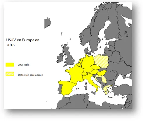 Figure 8 : Pays européens en 2016 avec le virus USUV isolé sur oiseaux et/ou moustiques et pays ayant  détecté des réactions sérologiques positives à l’USUV chez des oiseaux ou des mammifères  