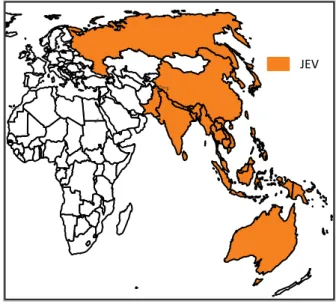 Figure 9 : Distribution du JEV en Asie (2016). 