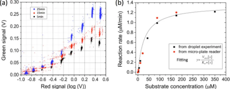 FIG. 4. Measurement of b-galactosidase kinetics in continuous mode with different substrate concentrations