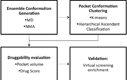 Figure  1.  Computational  procedure  used  to  generate  and  validate  the  RCE  for  DHFR  and CDK2