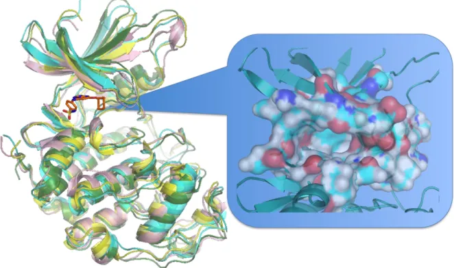 Figure 5. Performance of the generated RCE vs druggability and volume of the binding  pockets