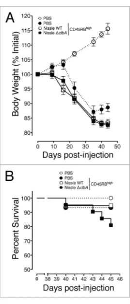 Figure 3. cD4 +  cD45RB high  T cells elicit an aggressive wasting disease  leading to exacerbated mortality in transferred scID mice fed with  Nissle ΔclbA