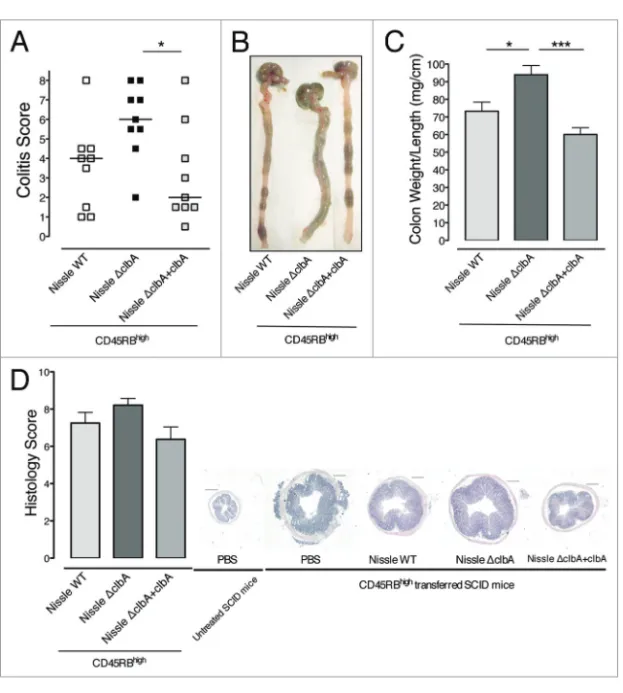 Figure 5. Genetic complementation of the clbA mutant of Nissle 1917 restores its probiotic  activity