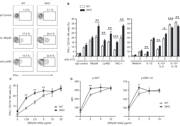 Figure 6. IFN-c production via activating receptor stimulation is increased in Dok1-/Dok2-deficient NK cells.