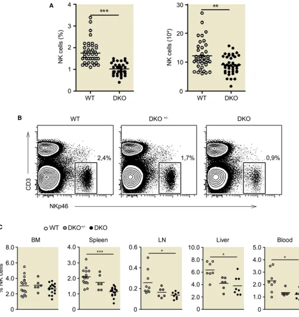 Figure 3. Reduced numbers of peripheral NK cells in Dok1-/Dok2-deficient mice.