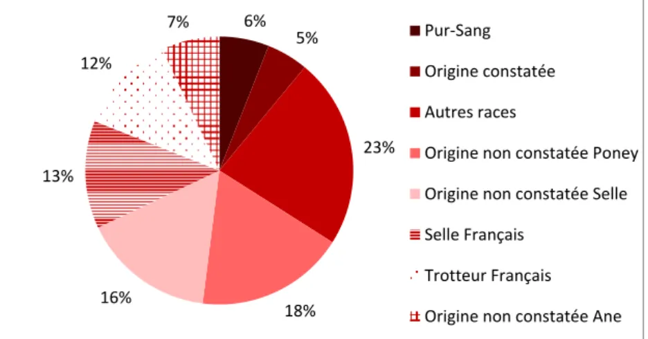 Figure 10. Répartition des équidés français par groupe de races en 2014 (d’après Annuaire Ecus 2015,  IFCE-OESC, d’après Sire)