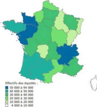 Figure  11.  Répartition  géographique  des  équidés  détenus  dans  des  structures  agricoles  en  France  en  2011 par région administrative (source : IFCE-OESC, OER 2012)