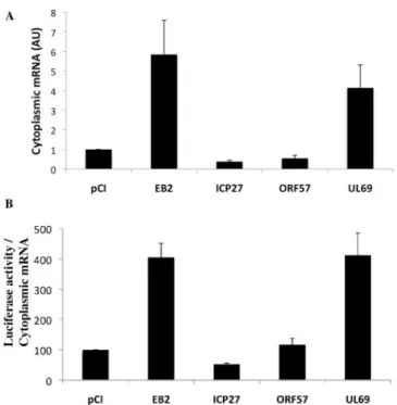 Figure 6. Diﬀerential eﬀects on translation from EB2-related proteins derived from diﬀerent herpesviruses