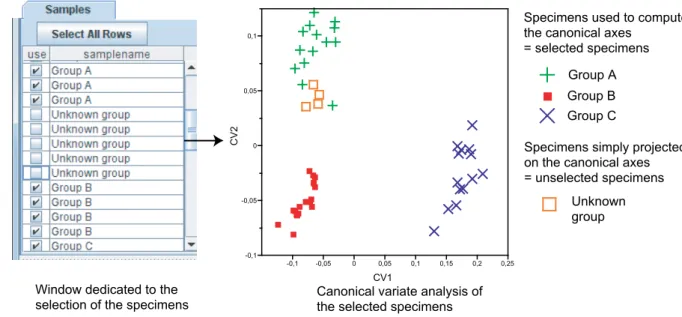 Figure 1.10: Sample structure used in MorphoTools. Selected specimens form the input of the canonical  variate analysis, whereas unselected specimens are simply projected on the resulting canonical axes