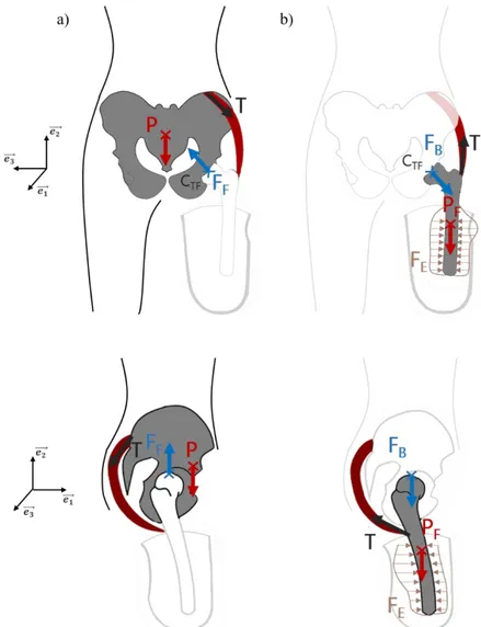 Figure 18 : Bilan des actions mécaniques appliquées sur le bassin (a), sur le fémur (b) dans le plan frontal et le  plan sagittal