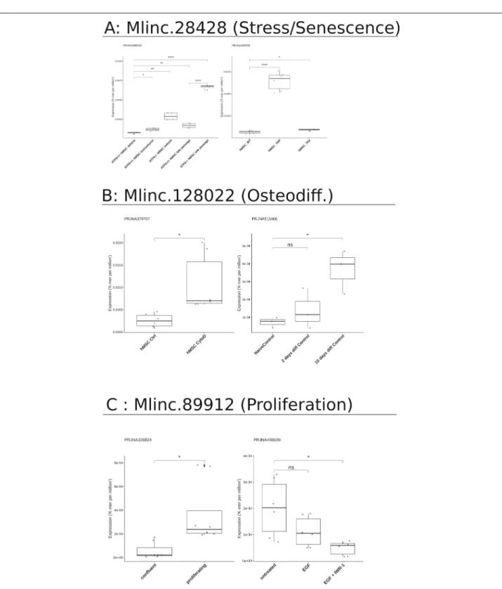 Fig. 6 Expression of markers in different datasets from SRA in cell conditions related to previous findings