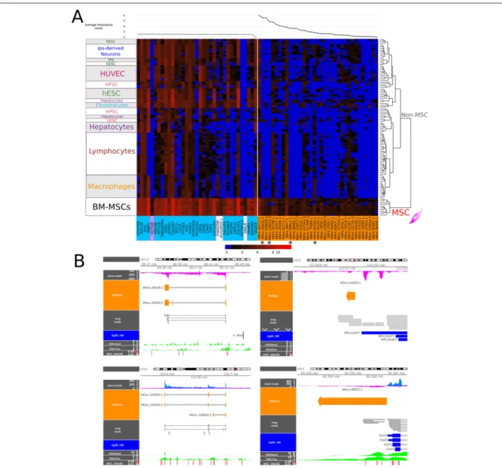 Fig. 3 Selection of a refined set of the best candidates by random forest (top35), long-read sequencing and epigenetic features