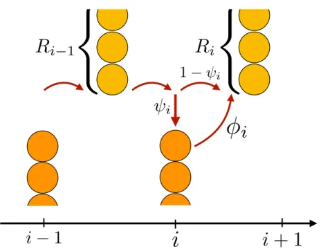 Figure 4.7 – Modélisation microscopique des phénomènes qui ont lieu au niveau de l’interface solide-liquide