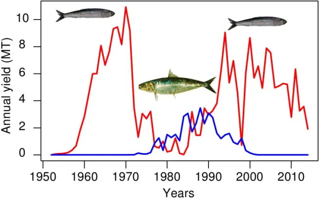 Figure 1.13. Time series of annual yield (MT) of anchovy and sardine in the NHCS. Source  of data,  IMARPE