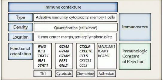Figure 10 : Représentation graphique du profil immun, de l'Immunoscore et de la constante  immunologique de rejection (21) 