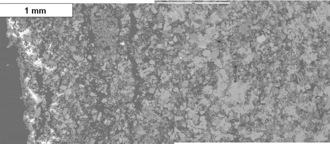Figure I.41 : image acquise par Microscopie Electronique à Balayage d’une section polie du tuffeau  prélevé in-situ (électrons rétrodiffusés ×50) 