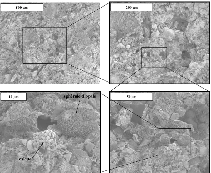 Figure II.5 : images acquises par Microscopie Electronique à Balayage d’une zone de cœur du tuffeau  blanc (électrons secondaires ×80 à ×2000) 