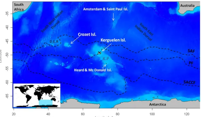 Figure  2.2:  Localisation  of  Crozet  and  Kerguelen  islands  in  the  Indian  Basin