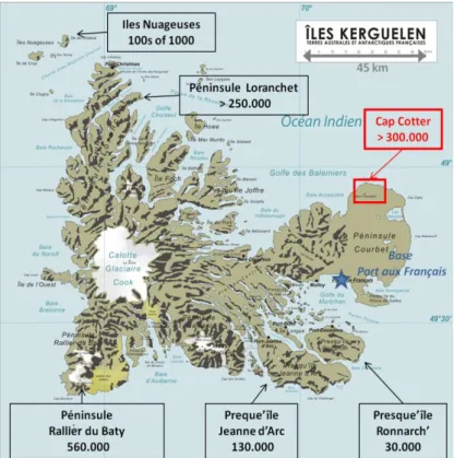 Figure 2.6: Estimated size of Macaroni penguins population from Kerguelen islands  (number  of  pairs)